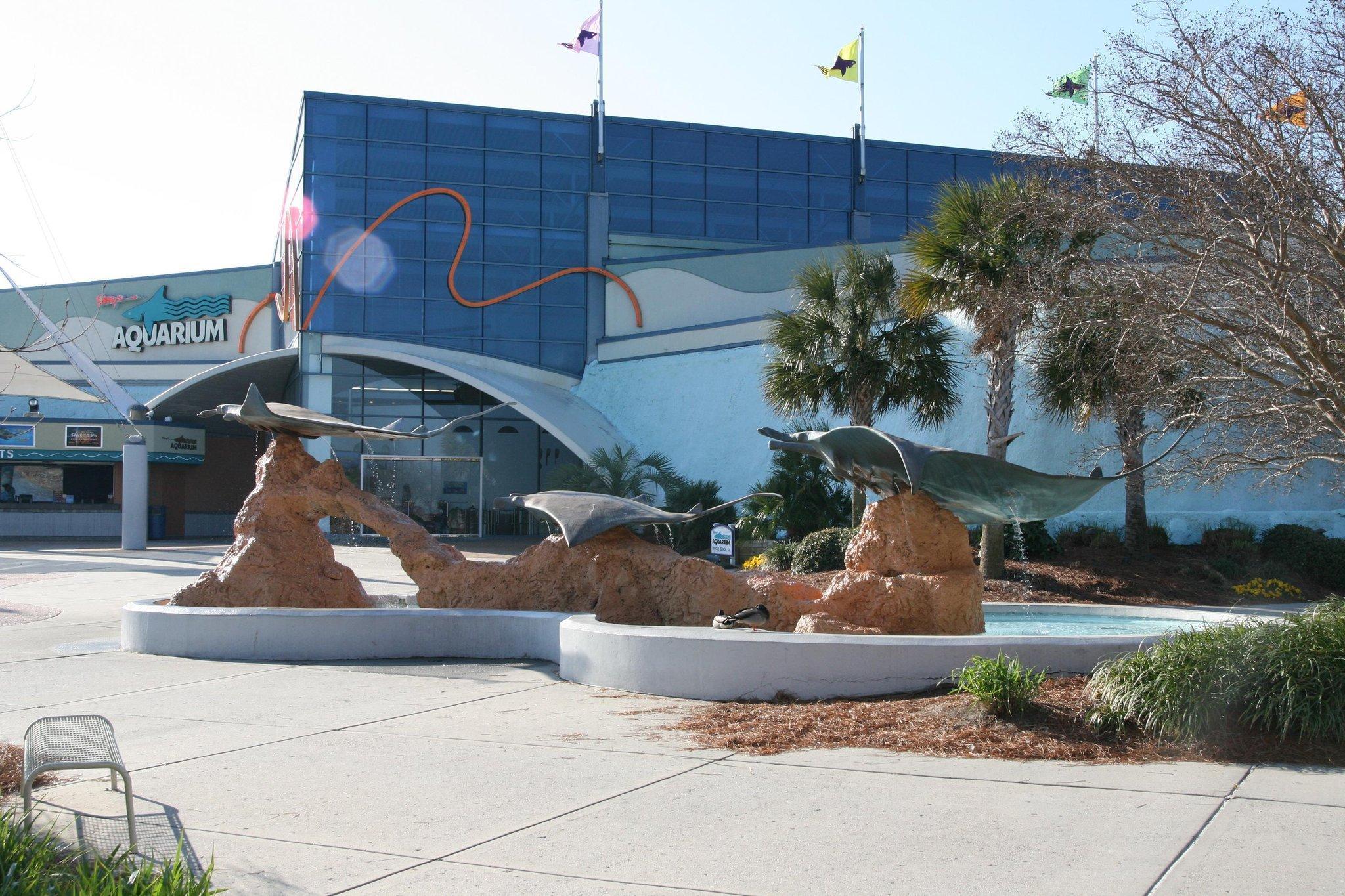 Hampton Inn Myrtle Beach West Socastee Servicios foto
